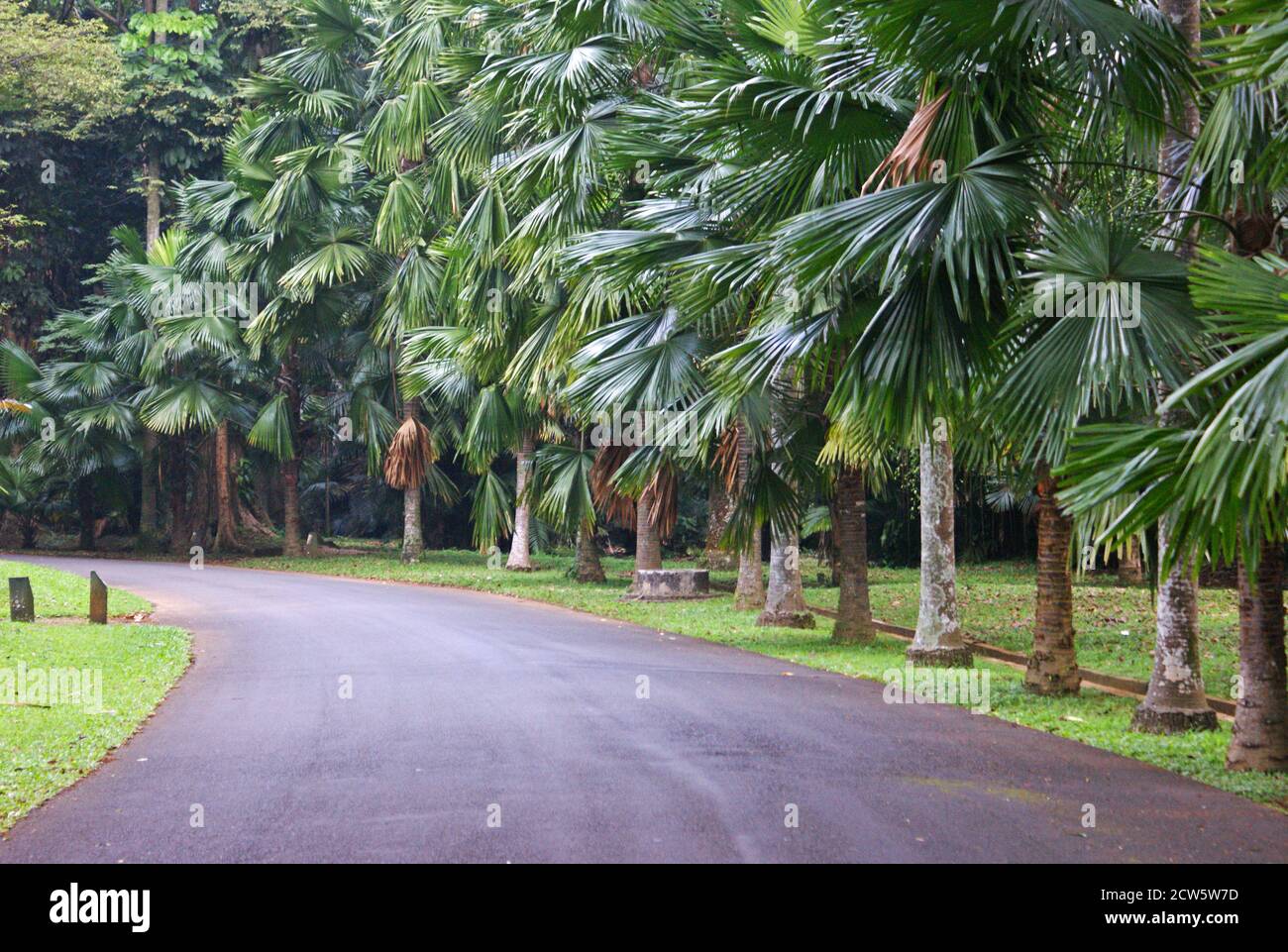 Botanischer garten bogor indonesien Fotos und Bildmaterial in hoher