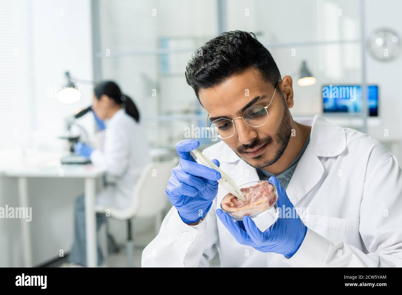 Gloved männlichen wissenschaftlichen Forscher in Whitecoat unter winzigen Probe Rohes Fleisch Stockfoto