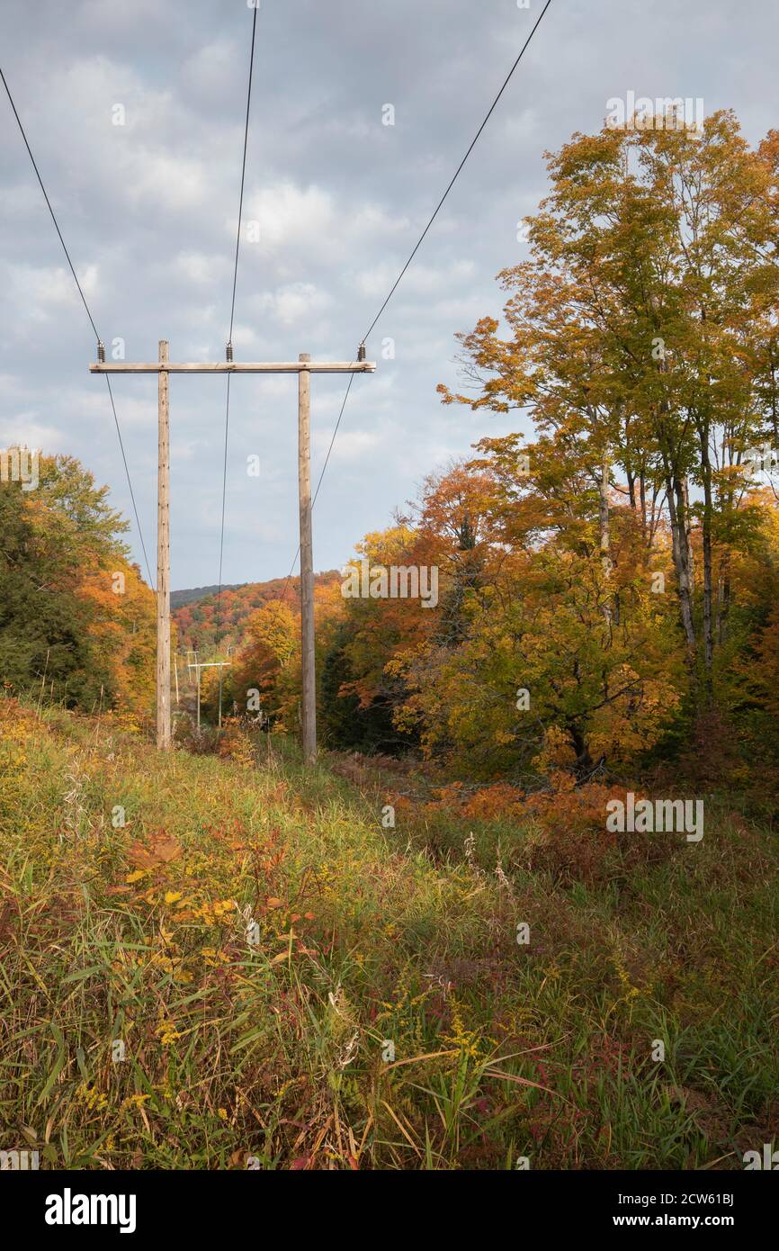 Hydrokorridor durch eine bewaldete Fläche mit Herbstfarben Stockfoto