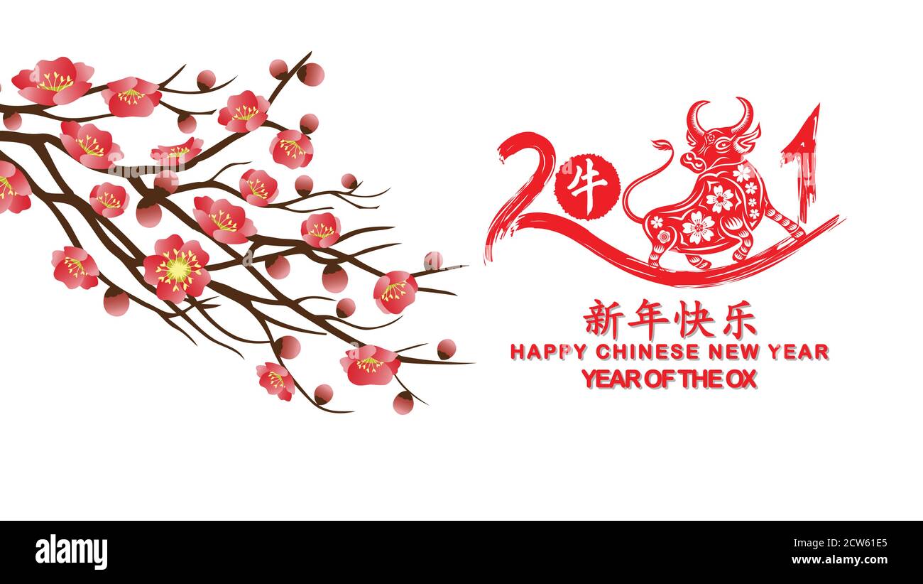 Chinesische Neujahrs Ox Dekoration für Frühlingsfest (Chinesische Übersetzung Happy chinese New year 2021, year of OX) Stock Vektor
