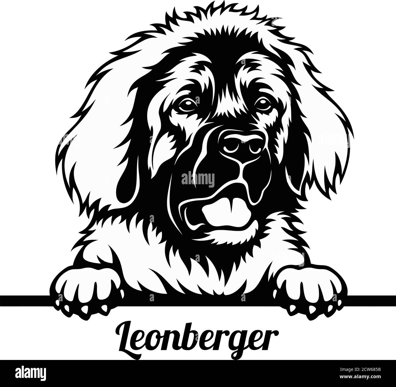 Leonberger Schwarzweiß-Stockfotos und -bilder - Alamy