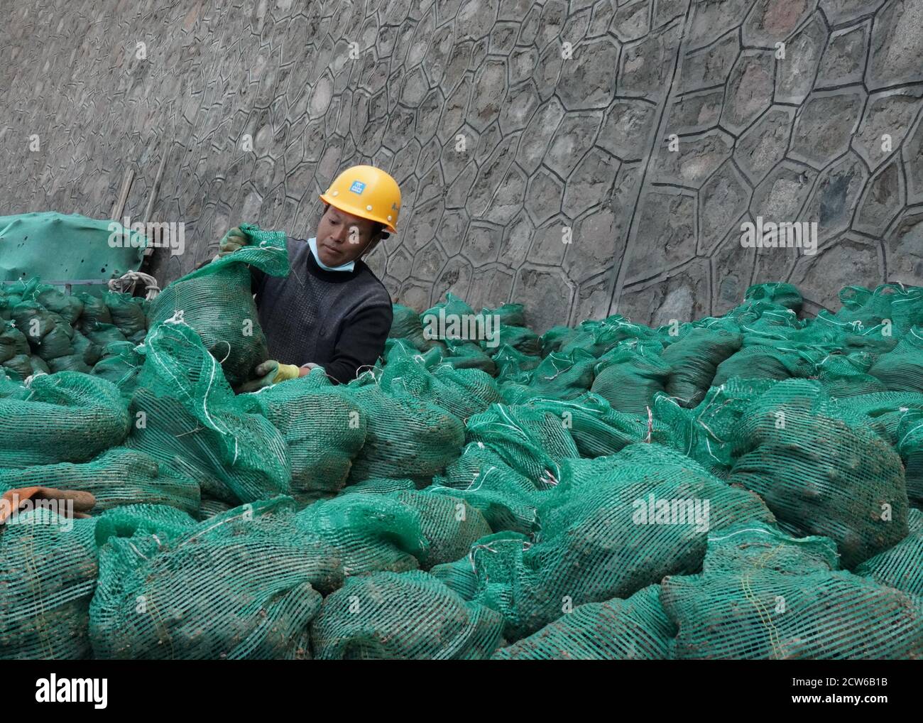 Peking, China. September 2020. Das am 27. September 2020 aufgenommene Foto zeigt einen Arbeiter, der mit Erde und Samen beladen Ökosäcke für die Olympischen Winterspiele 2022 in Peking im Bezirk Yanqing, Peking, der Hauptstadt Chinas, anhäufte. Quelle: Zhang Chenlin/Xinhua/Alamy Live News Stockfoto