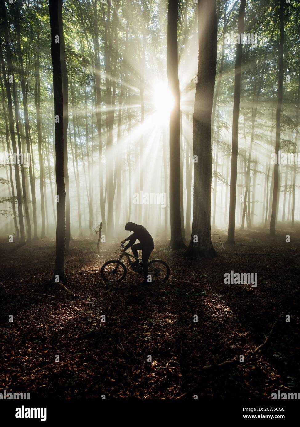 Der männliche Bergsportler fährt bei Sonnenaufgang mit dem Fahrrad auf einem Waldweg in einem nebligen Wald mit geheimnisvoller Aussicht. Stockfoto