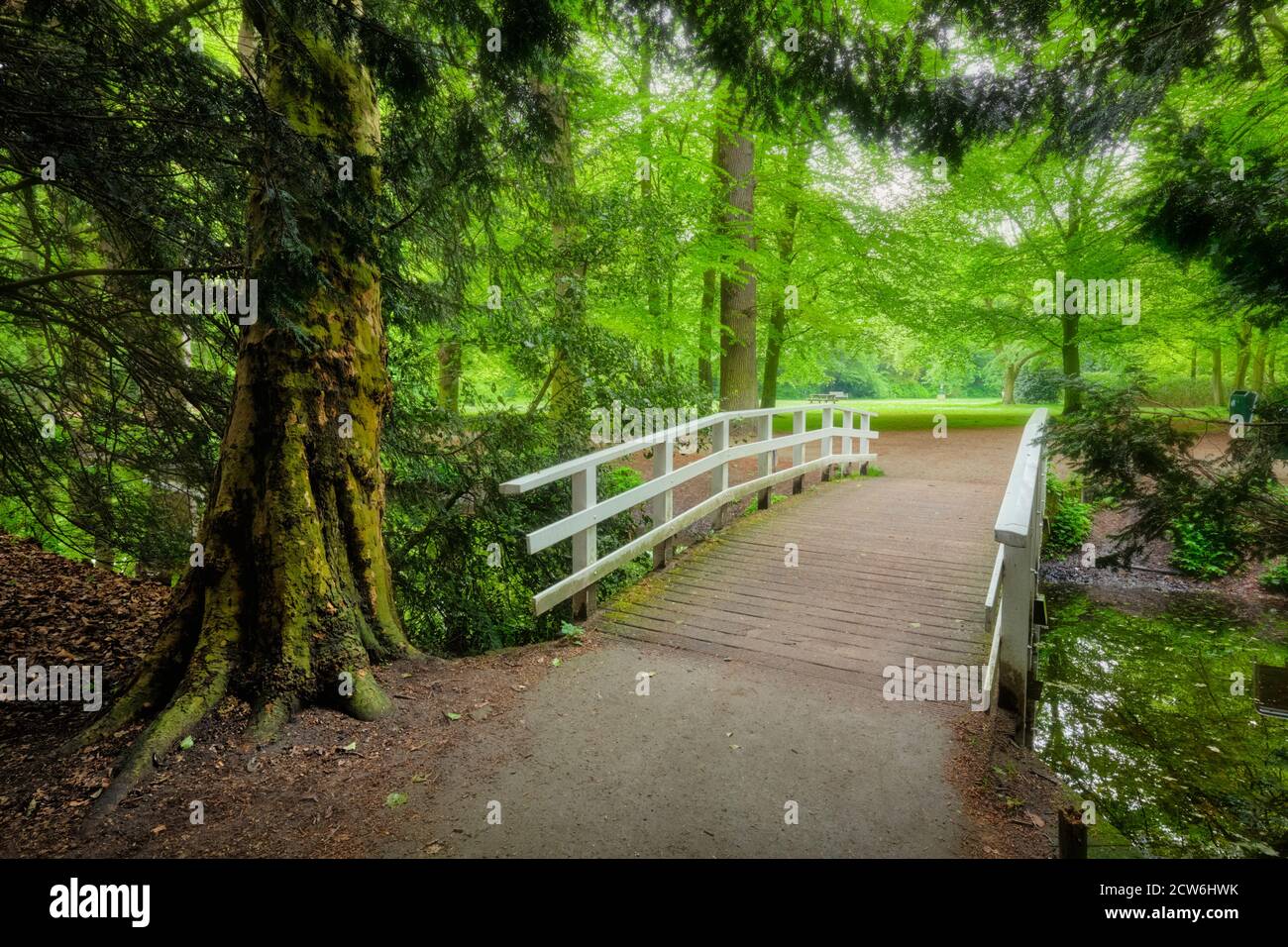 Brücke in einem Park. Stockfoto