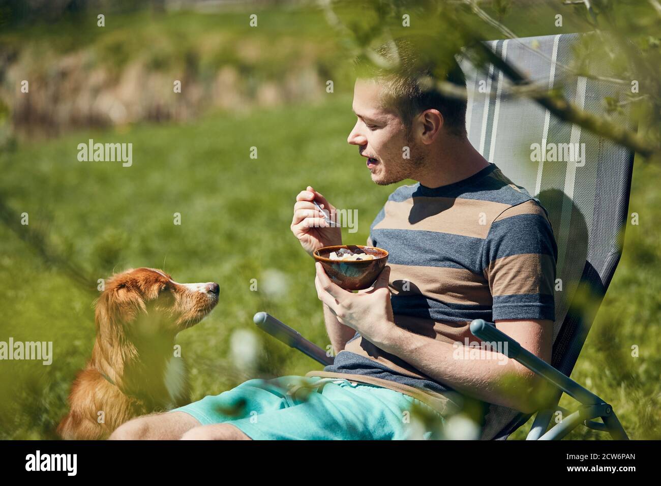Hund bettelt beim Essen. Nova Scotia Duck Tolling Retriever beobachtet seinen Tierbesitzer beim Essen im Garten. Stockfoto