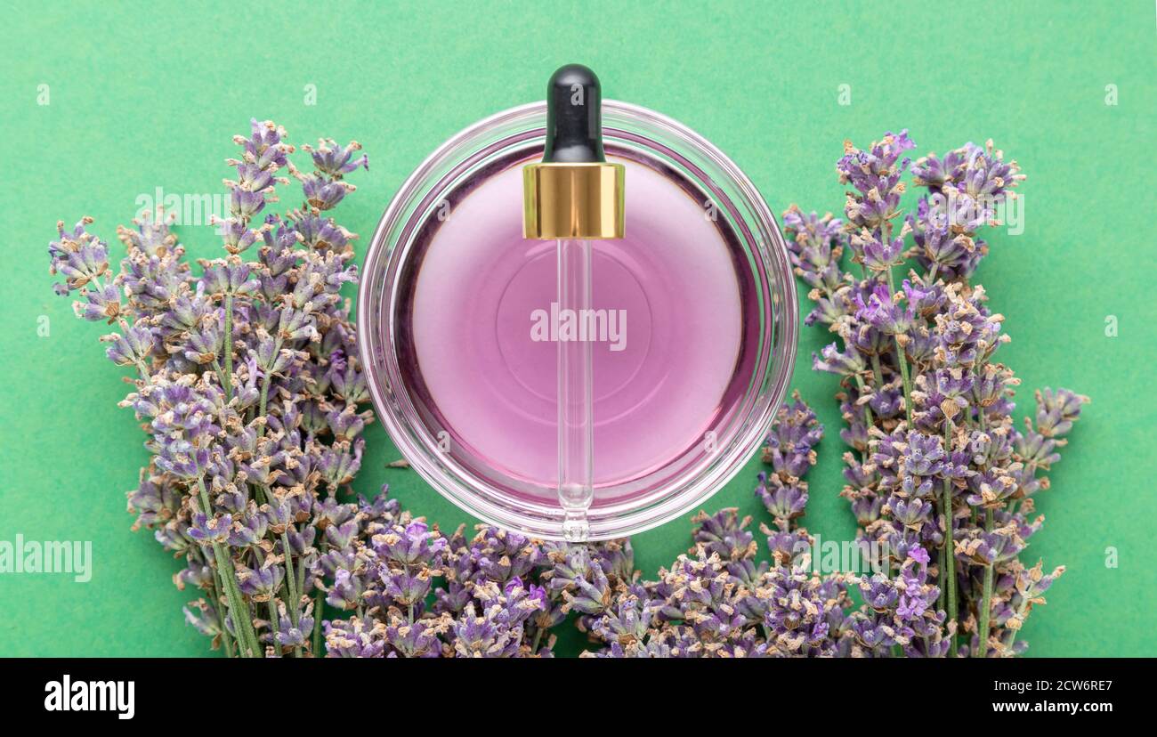 Violette Lavendelöl Flüssigkeit mit Pipette Pipette frische Lavendelblüten auf grünem Hintergrund. Natürliche Körper Haut Haarpflege Bad Produkte Stockfoto