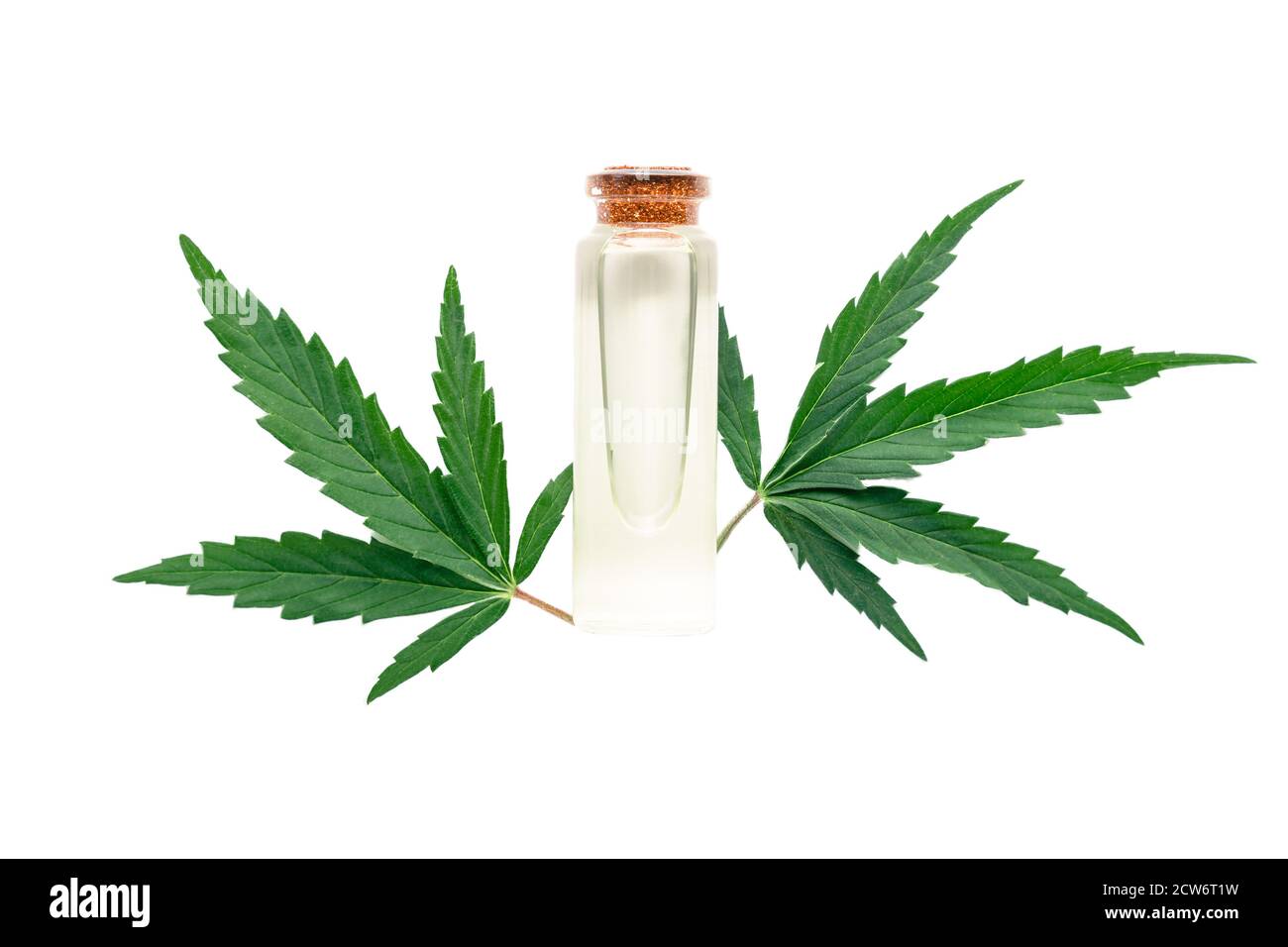 Hanföl ätherisches Öl in Glasflasche mit Cannabisblättern isoliert auf weißem Hintergrund. Cannabisblatt mit Hautpflegeprodukt Stockfoto