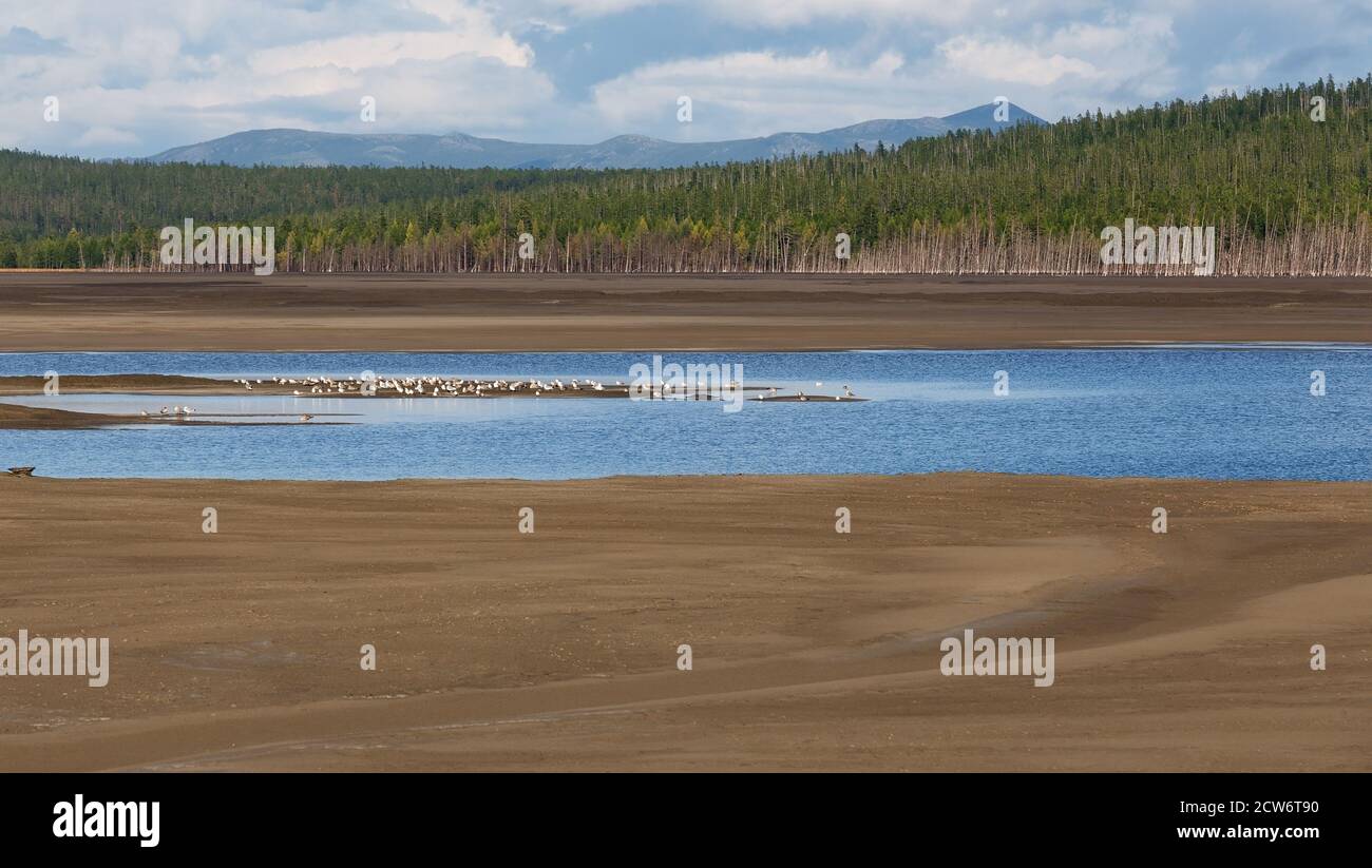 Landschaft mit einem Fluss, sandigen Küsten und Bergen in der Ferne, Süd-Jakutien, Russland Stockfoto