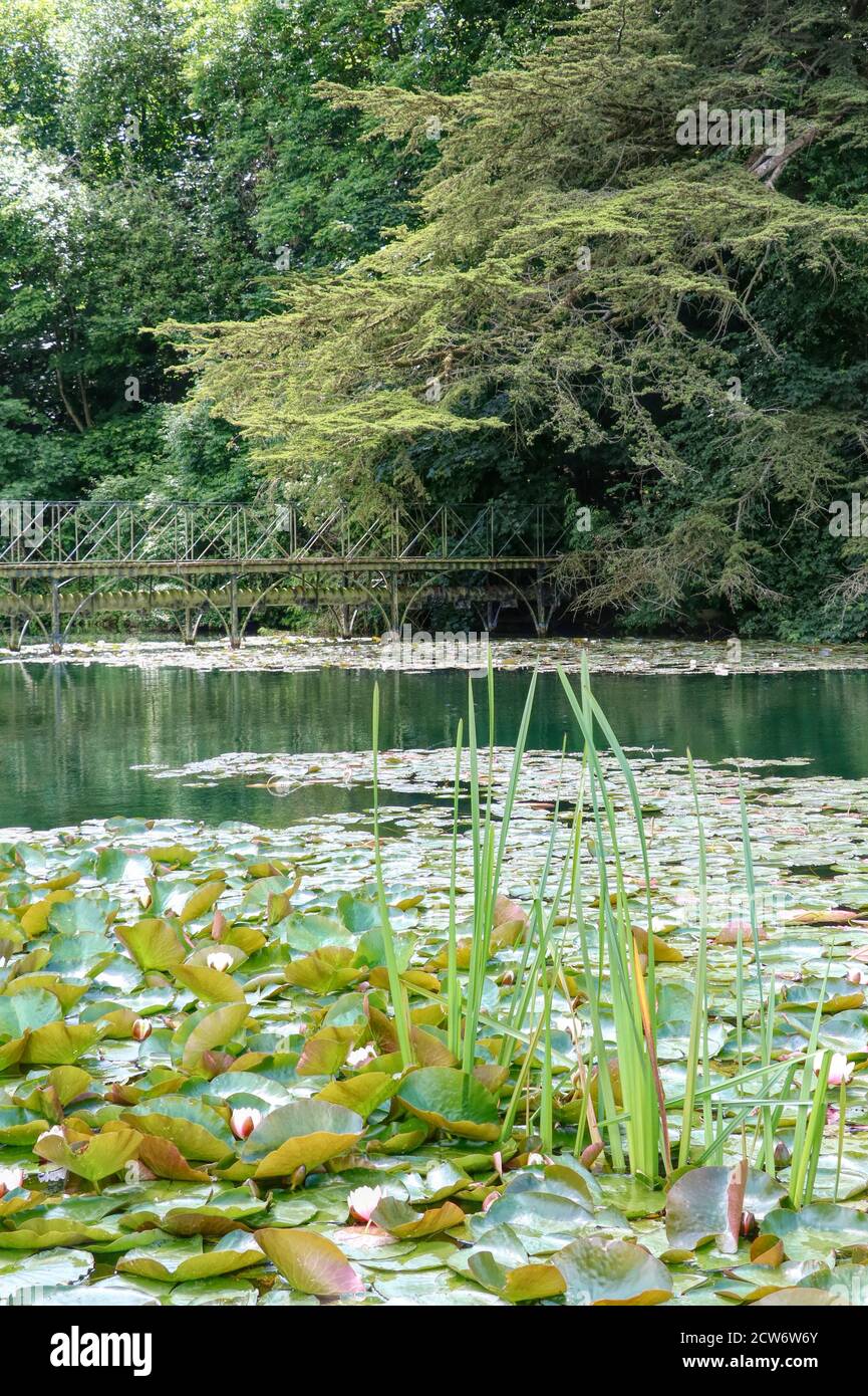 see mit Binge in Blenheim Palace England Stockfoto