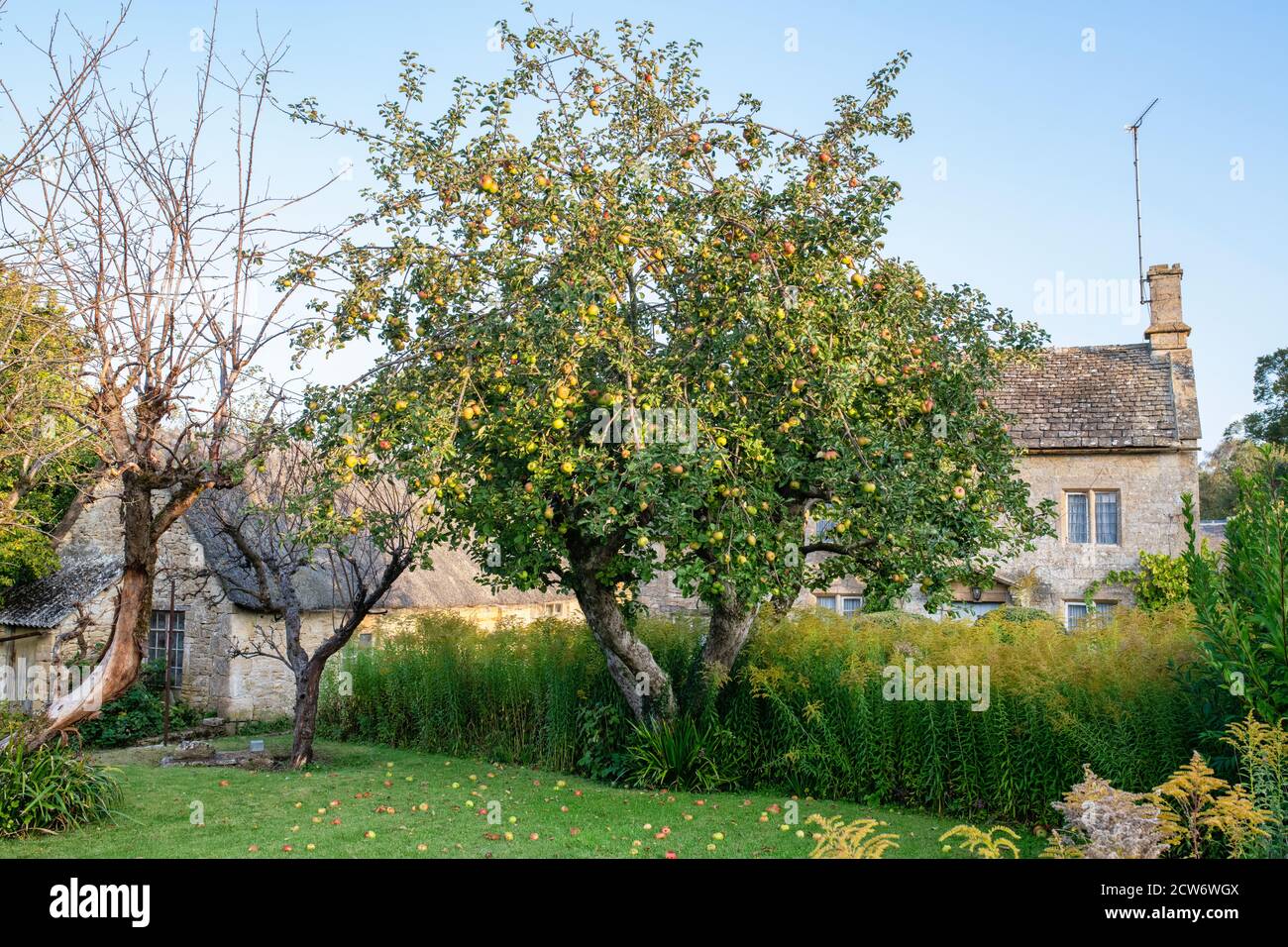 Ferienhaus in einem cotswold Dorf im Frühherbst. Taynton, Cotswolds, Oxfordshire, England Stockfoto