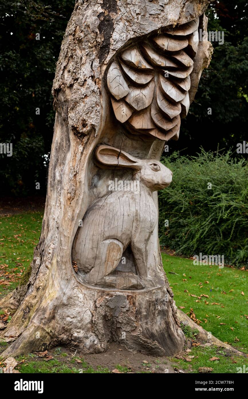Tree trunk sculpture -Fotos und -Bildmaterial in hoher Auflösung – Alamy