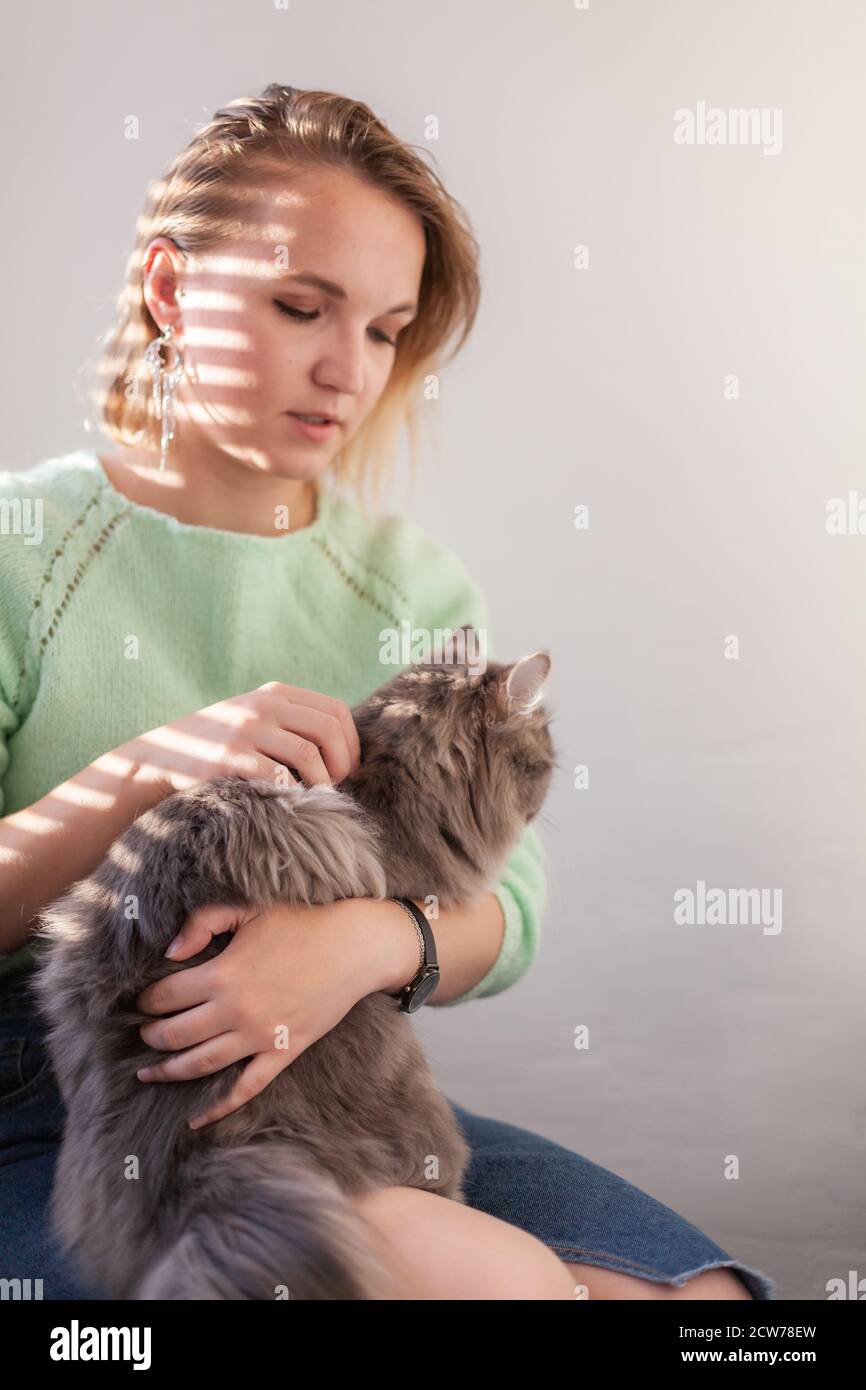 Nahaufnahme von schönen europäischen jungen Frau in grünen Pullover mit Grau Hauskatze, Sonnenschutz von Jalousien. Mensch-Tier-Beziehungen. Stockfoto