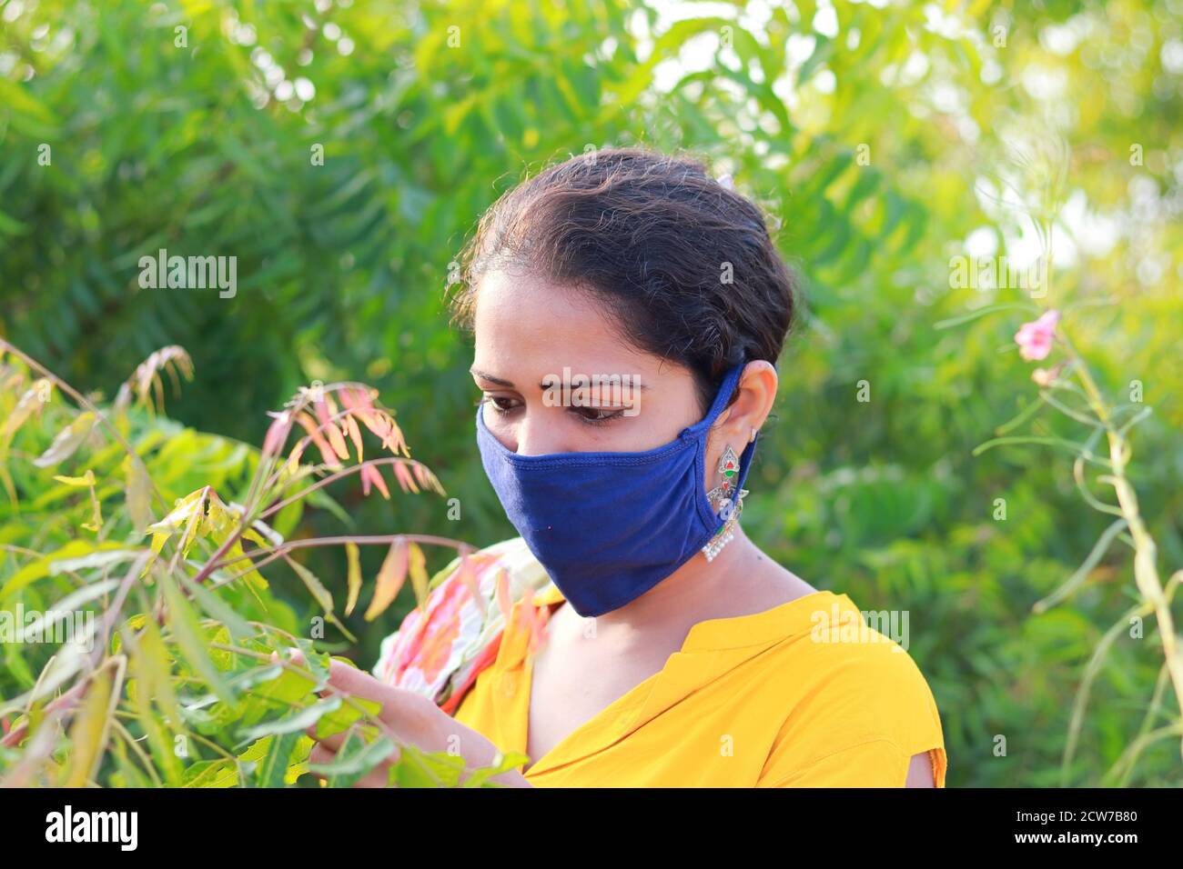 Indische junge Frau trägt Hause gemacht blaue Gesichtsmaske Prävention Während der corona Zeit sammeln neem Blätter Informationen Stockfoto