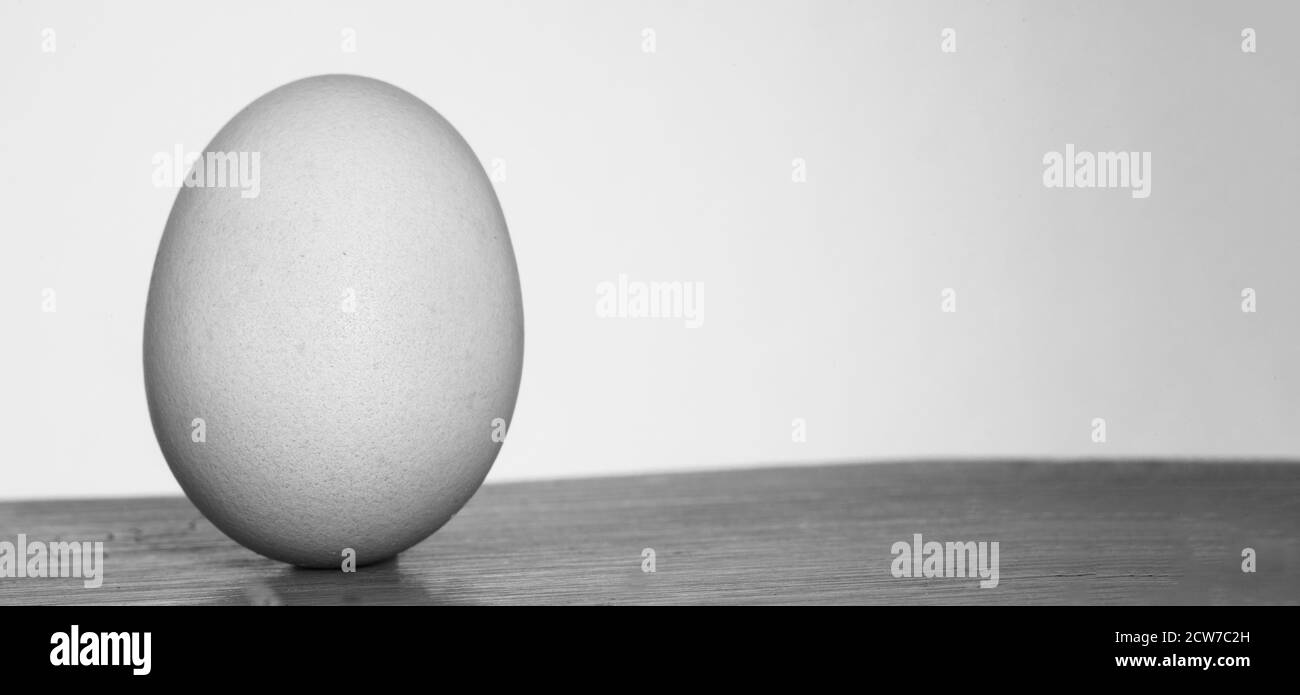 Minimalistisch einfaches Ei auf Tisch mit weißem Hintergrund in monochrom Stockfoto