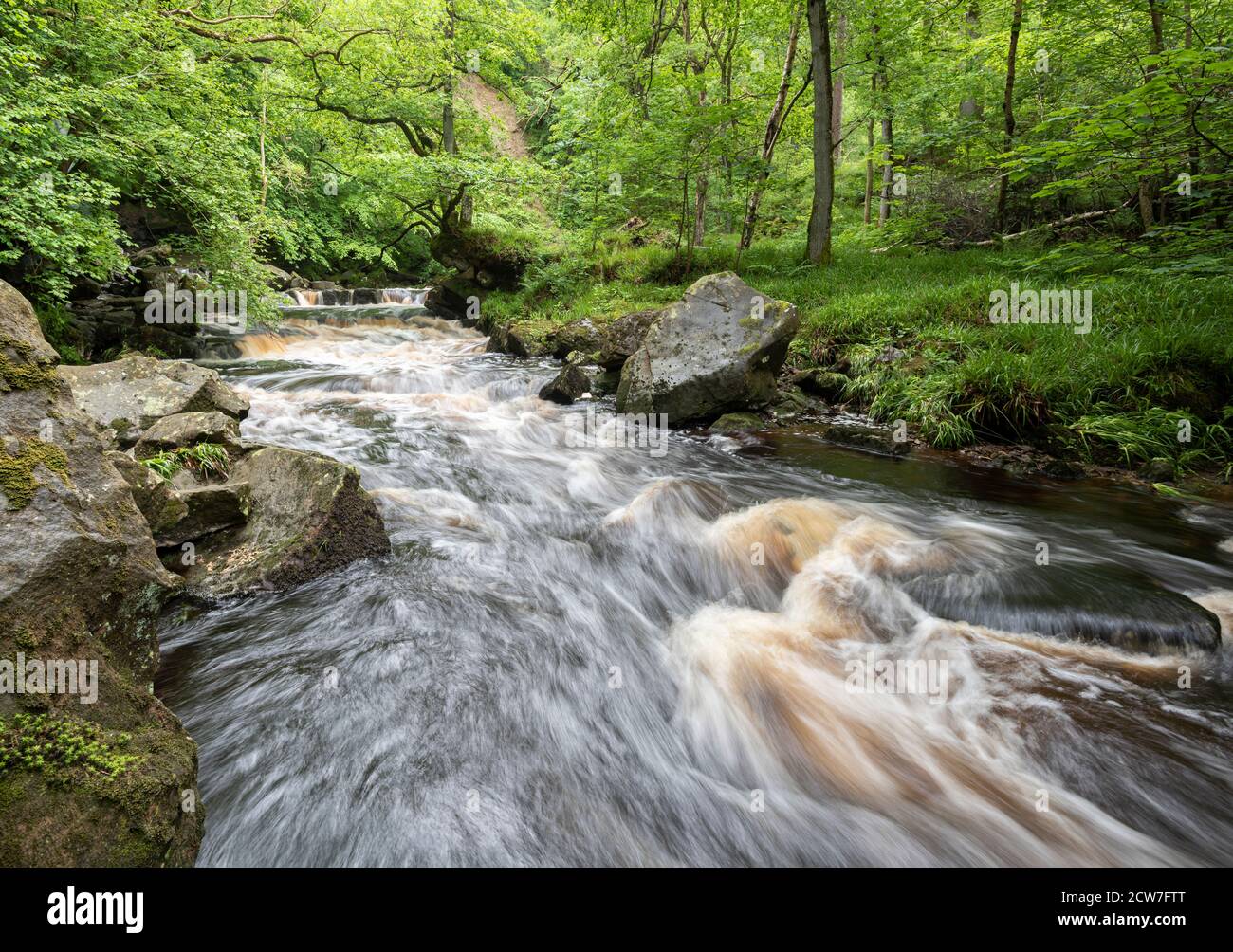 Das schnell fließende Wasser von West Beck am Mallyan Auslauf Nach sintflutartigen Sommerregen Stockfoto