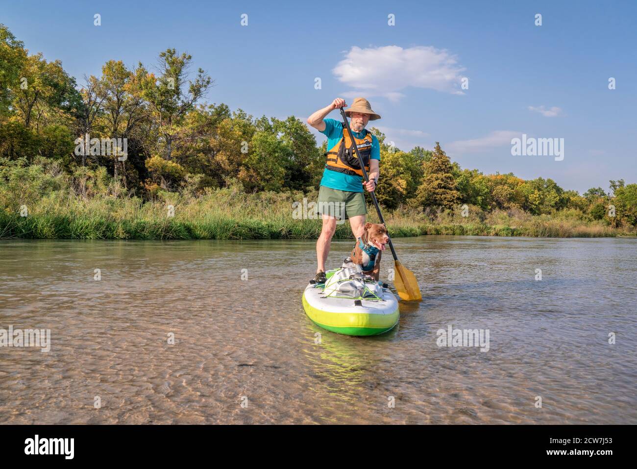 Senior Paddler paddeln Stand Up Paddleboard mit seinem Pitbull Hund auf einem flachen Fluss - Dismal River im Nebraska National Forest, frühe Herbstlandschaft Stockfoto