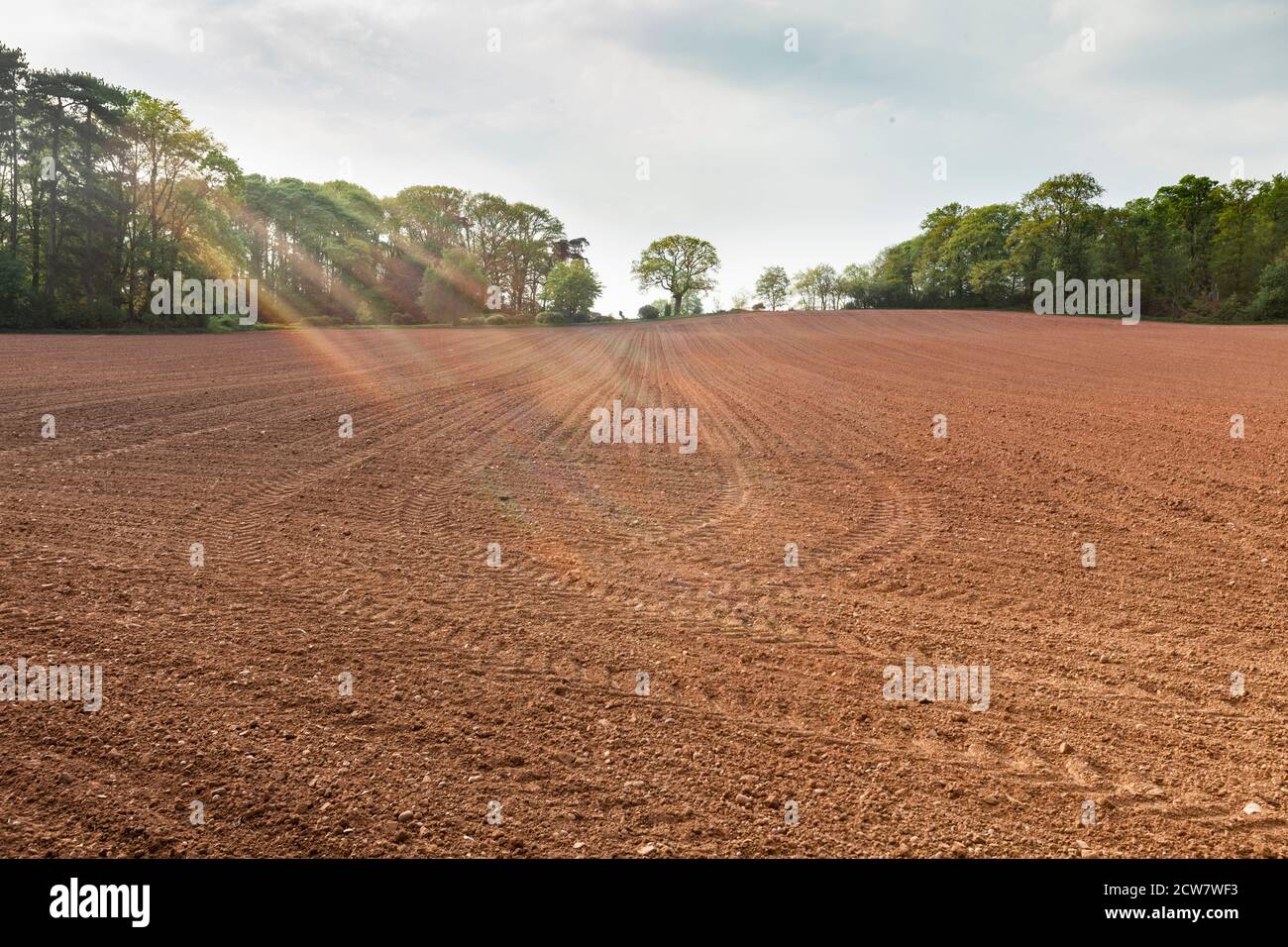 Ein gepflügte Feld in Cheswardine, Shropshire, Großbritannien Stockfoto