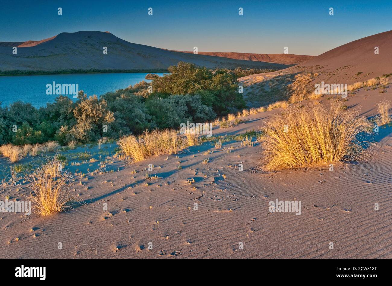 Big Dune über Sand Dunes Lake bei Sonnenaufgang, Bruneau Dunes State Park, High Desert Region, Idaho, USA Stockfoto