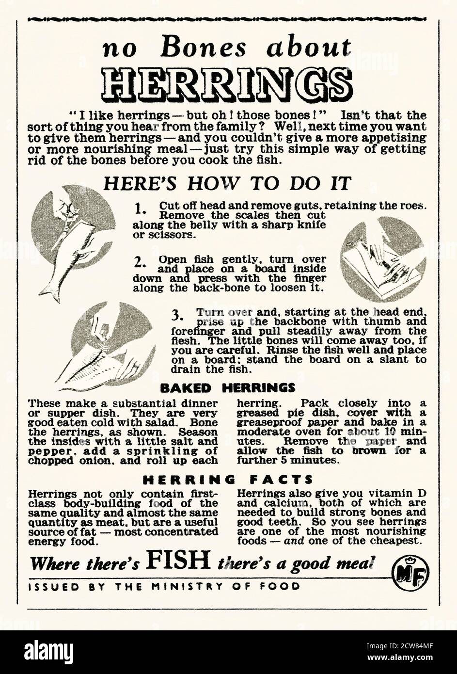 Eine Anzeige für Heringe, die im britischen Nachkriegszeit eine feste Größe waren – sie erschien in einem Magazin, das 1946 in Großbritannien veröffentlicht wurde. Die Anzeige wurde vom Lebensmittelministerium herausgegeben, um eine gesunde Ernährung mit Zutaten wie fettem Fisch zu fördern, während Rationierung ein Teil des Alltags war. Das Ministry of Food (1939–1958) war eine britische Regierungsabteilung – alte Grafiken der 1940er Jahre. Stockfoto
