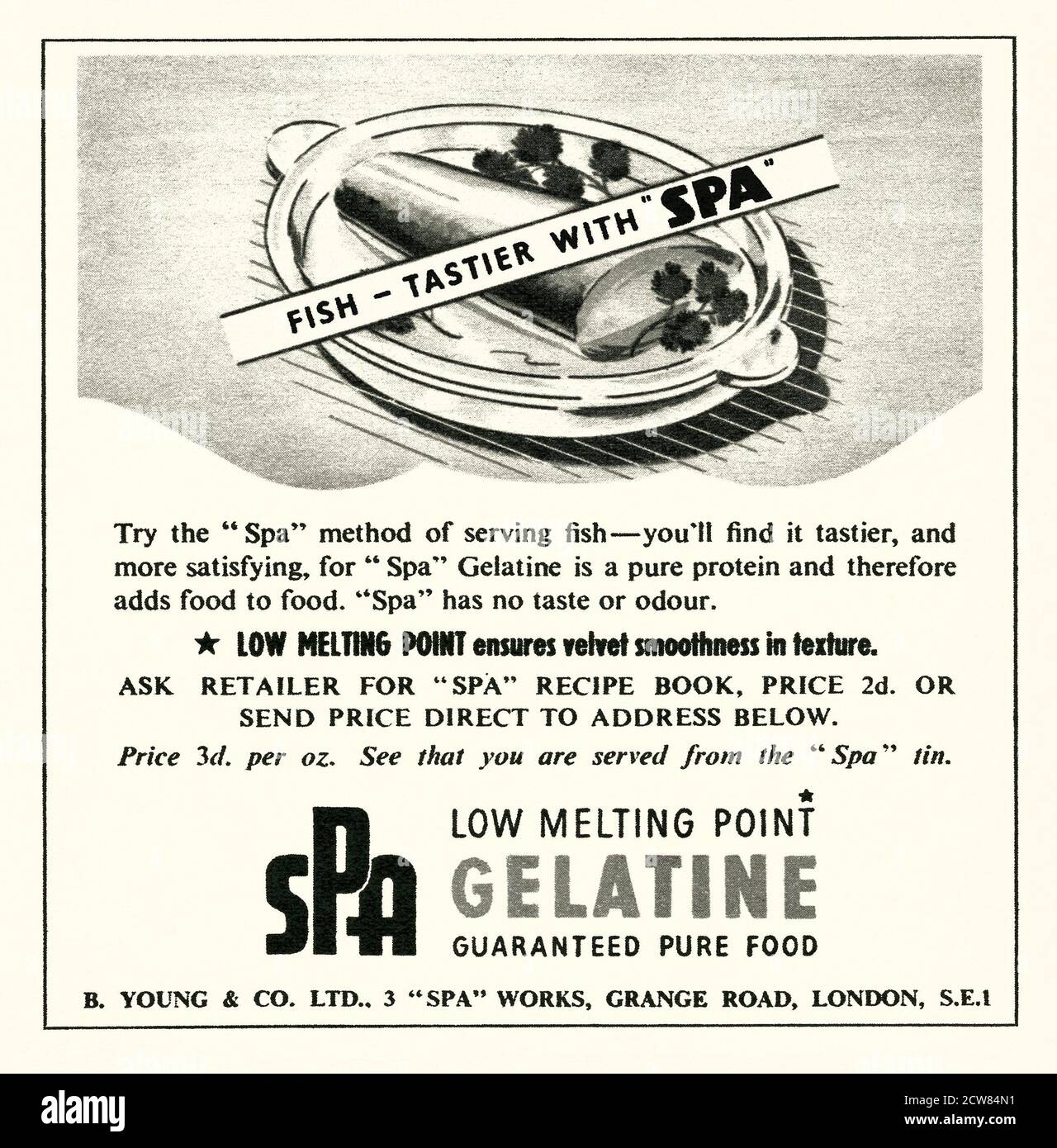 Eine Werbung für Gelatine der Marke Spa – sie erschien in einem Magazin,  das 1946 in Großbritannien veröffentlicht wurde. Der Werbespot deutet  darauf hin, dass es ein Fischgericht aufwertet und es schmackhafter