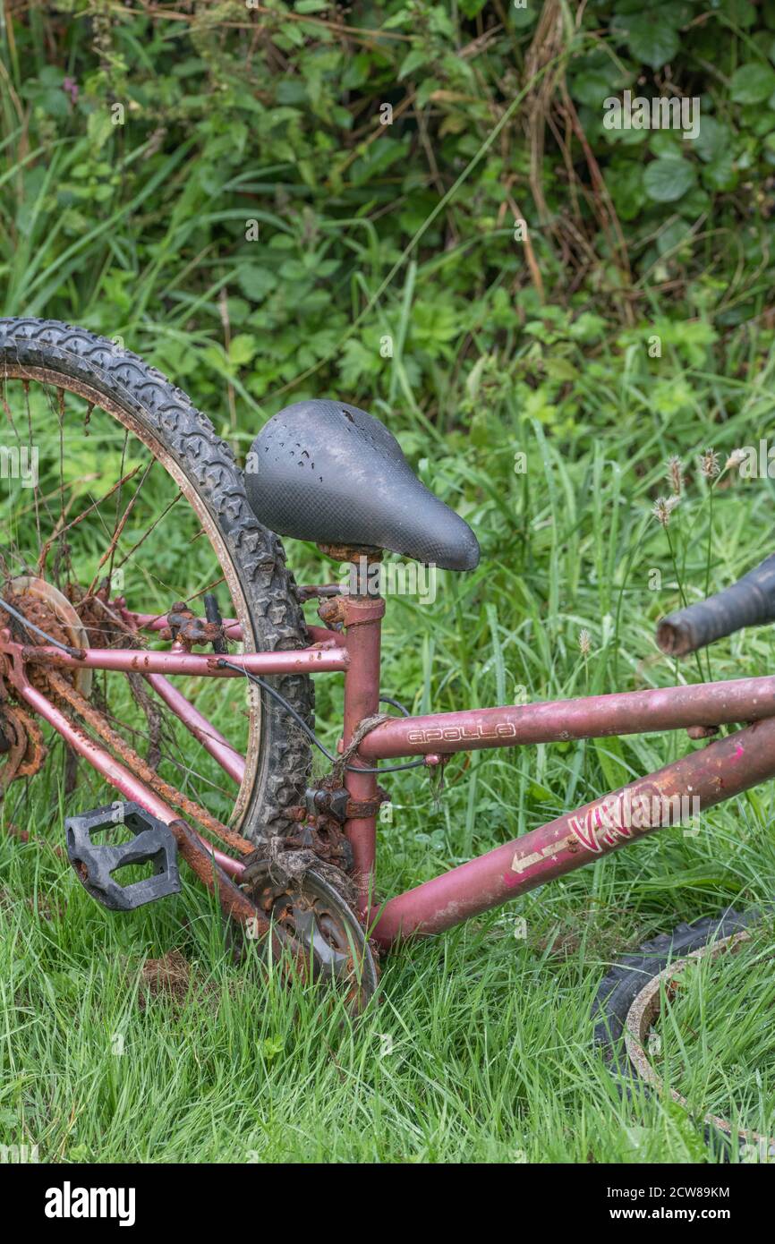 Apollo vivid bike hotsell
