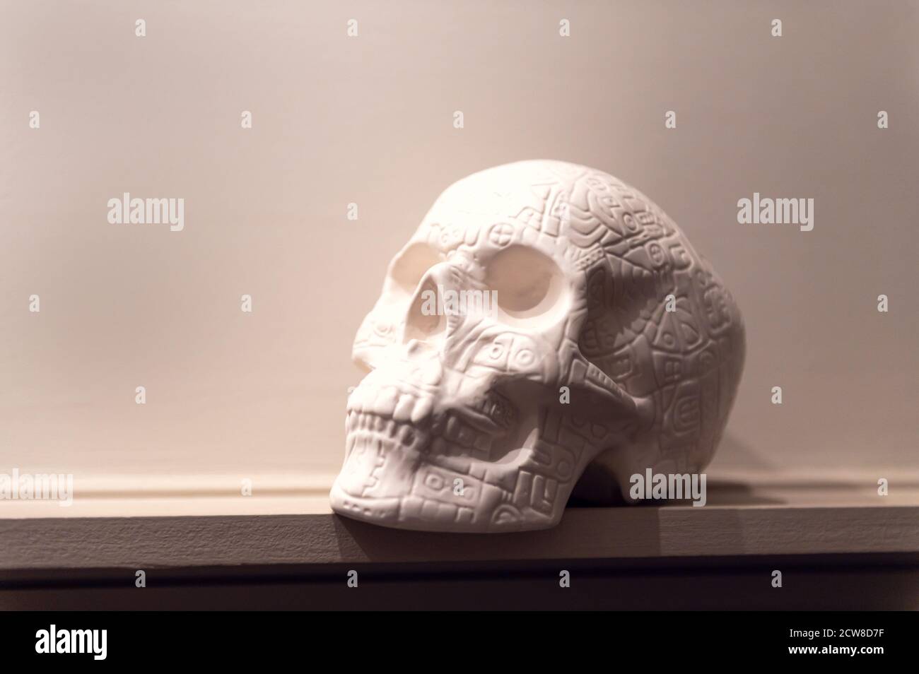 Weißer dekorativer Totenkopf im Regal Stockfoto