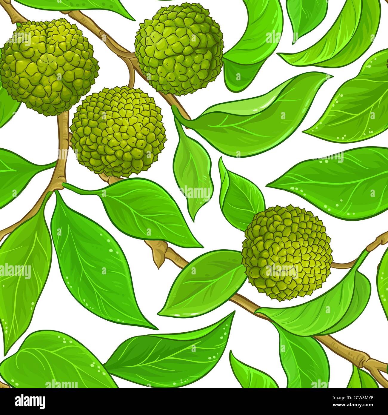 calodendrum-Vektormuster Stock Vektor