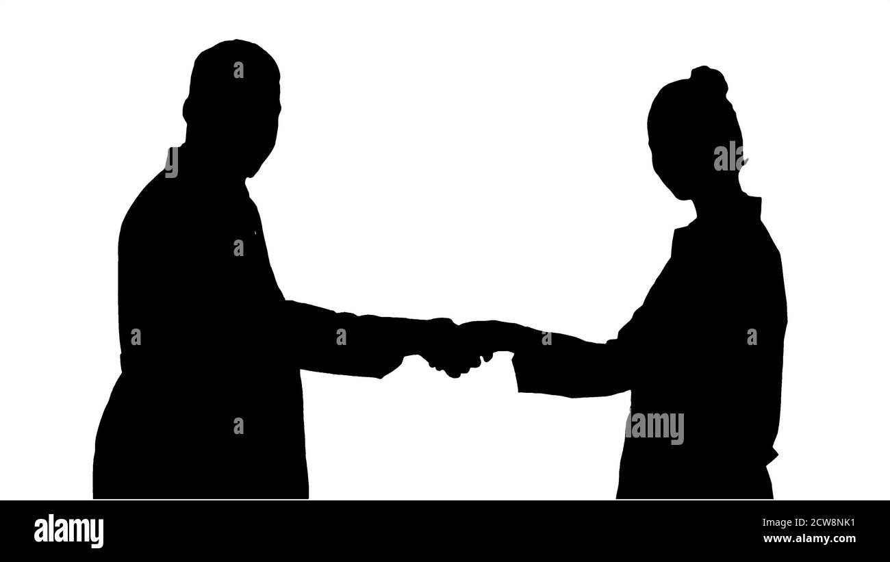 Silhouette Ärzte die Hände schütteln und posieren für die Kamera. Stockfoto
