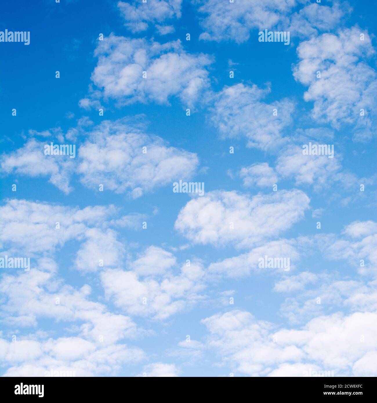 Geschwollene weiße Wolken Stockfoto