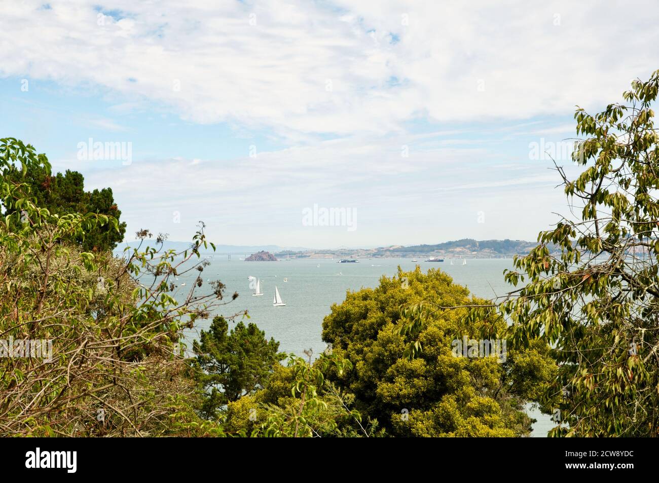 Ansicht der Segelboote von Angel Island in San Francisco Bay, San Francisco, Kalifornien, USA Stockfoto