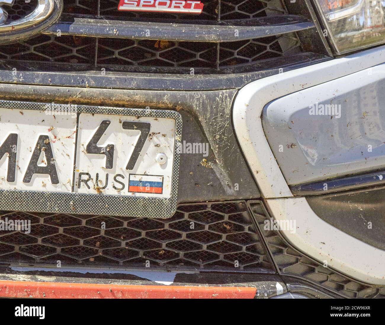 Insekten auf dem Auto auf dem Stoßfänger Lackierung. Stockfoto