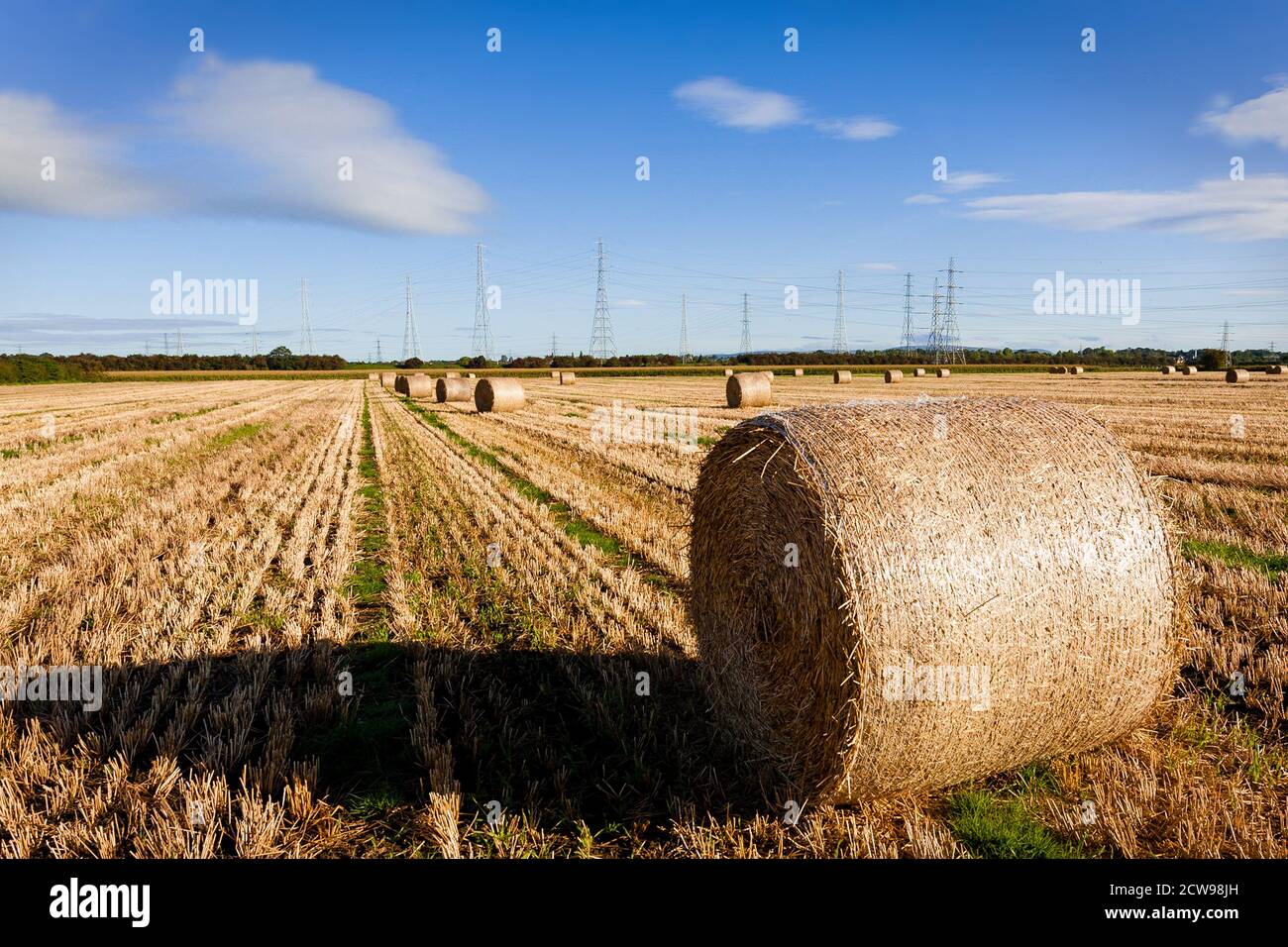 Felder von Strohballen, die nach dem Pressen gesammelt werden können. Stockfoto