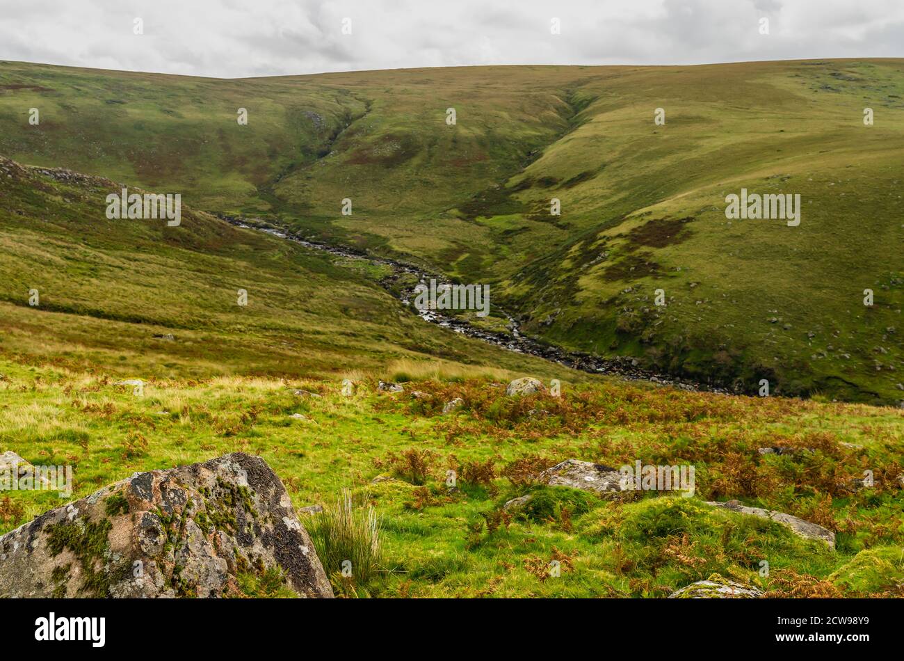 Tavy River Tal durchschneidet Granitmoor Dartmoor Stockfoto