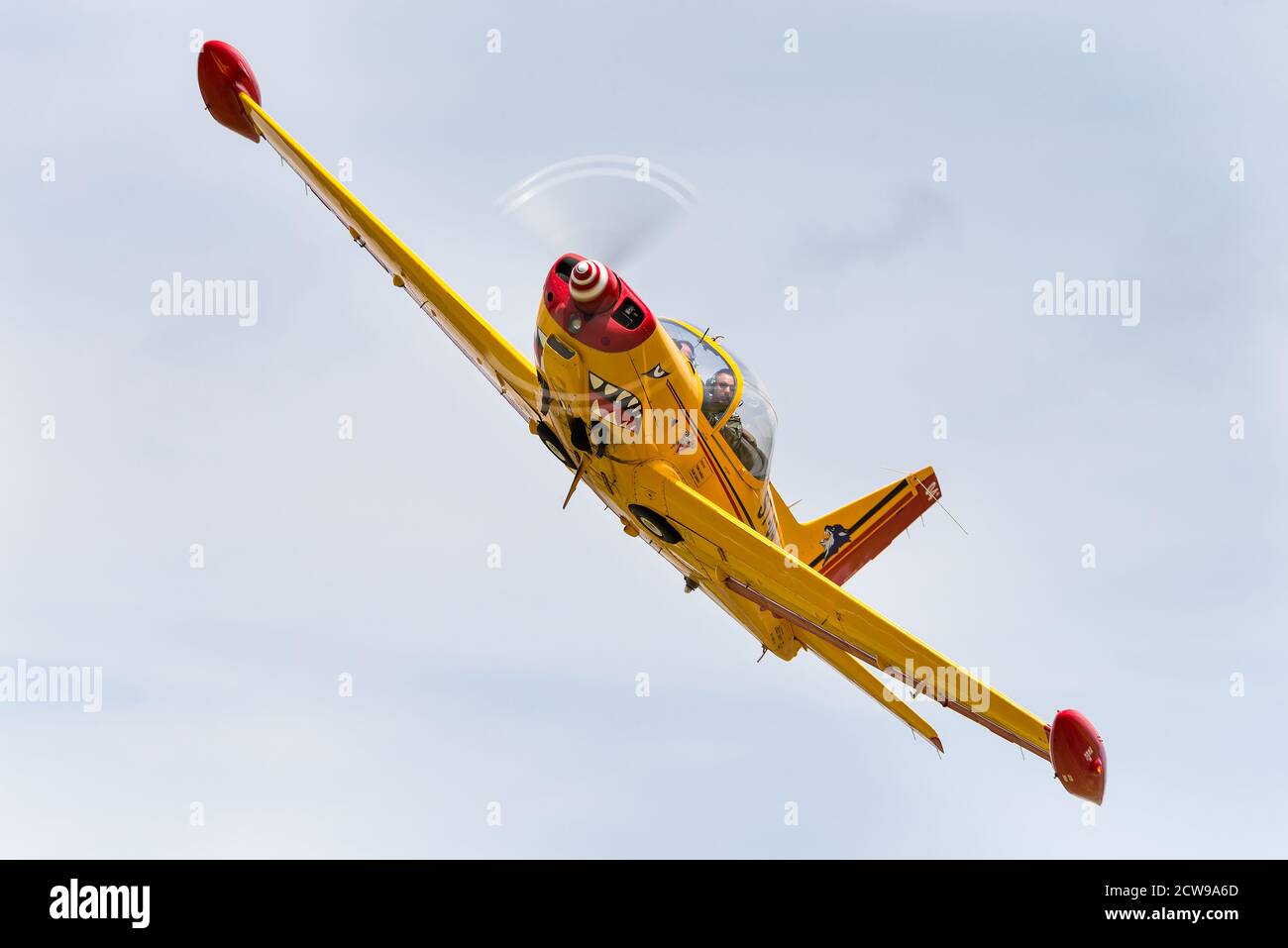 Das militärische Trainer-Flugzeug SIAI-Marchetti SF.260 der belgischen Luftwaffe. Stockfoto