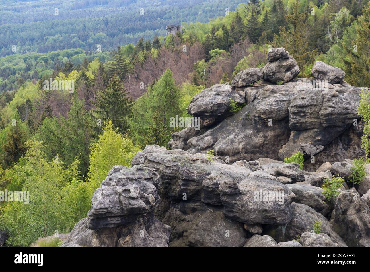 Felsen in den Zittauer Bergen Stockfoto