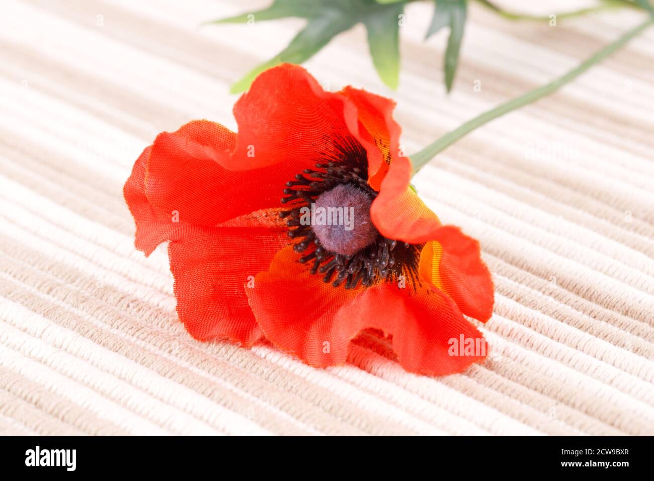 Roter Stoff Mohn auf Stoff Hintergrund. Stockfoto
