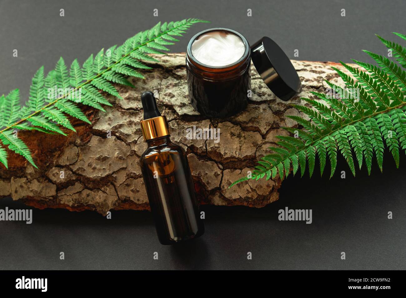 Kosmetikflasche und Cremedose auf schwarzem Hintergrund mit Holz und Grün. Naturkosmetik-Konzept. Draufsicht. Stockfoto