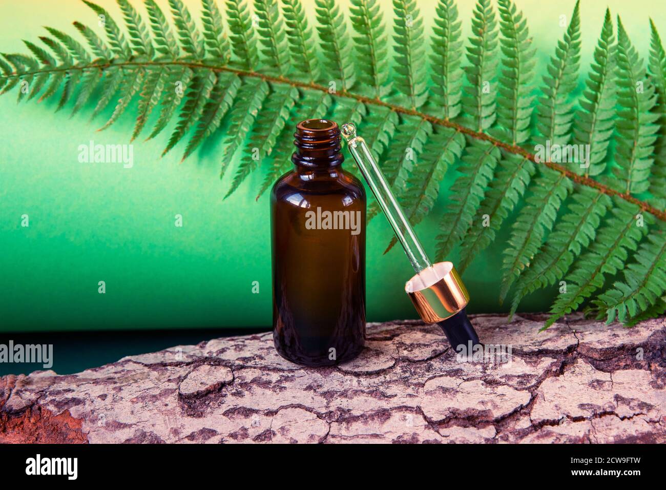 Flasche kosmetisches Öl mit einem Tropf auf grünem Hintergrund mit Farnblättern und Baumrinde. Spa- und Wellness-Konzept. Vorderansicht Stockfoto