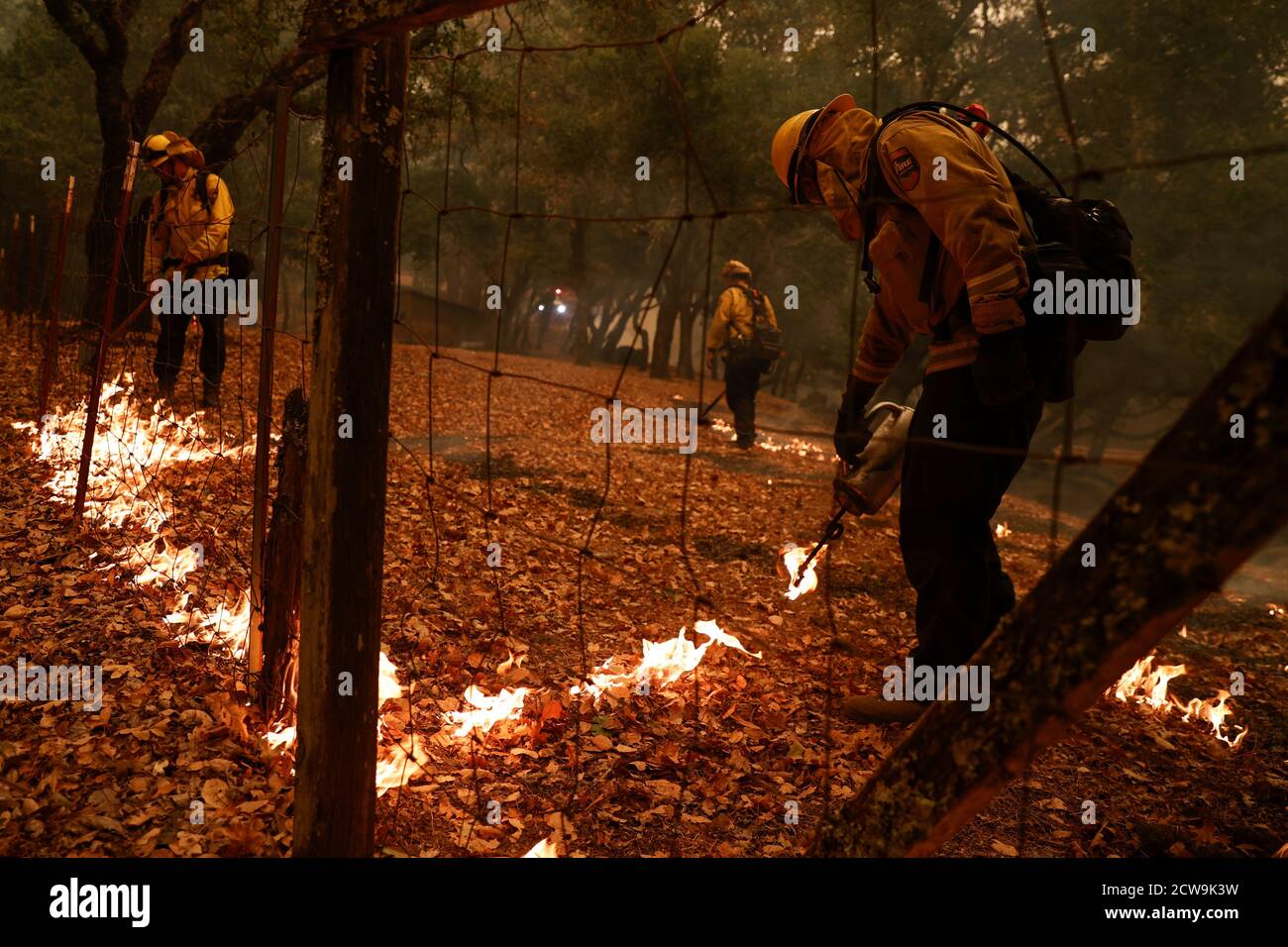 Feuerwehrleute mit der Cal Fire Sonoma-Lake-Napa Unit (LNU) zünden ein Rückfeuer an, um ein Grundstück während des Glass Incident Fire in Santa Rosa, Kalifornien, USA, zu verteidigen 28. September 2020. REUTERS/Stephen Lam Stockfoto