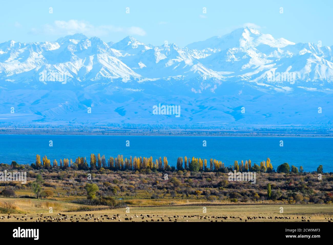 Issyk Kul See in Kirgisistan umgeben von Nord Tian Shan Berge in der Herbstsaison. Kirgisischer Bergsee im Nationalpark mit schneebedeckten Berg. Stockfoto
