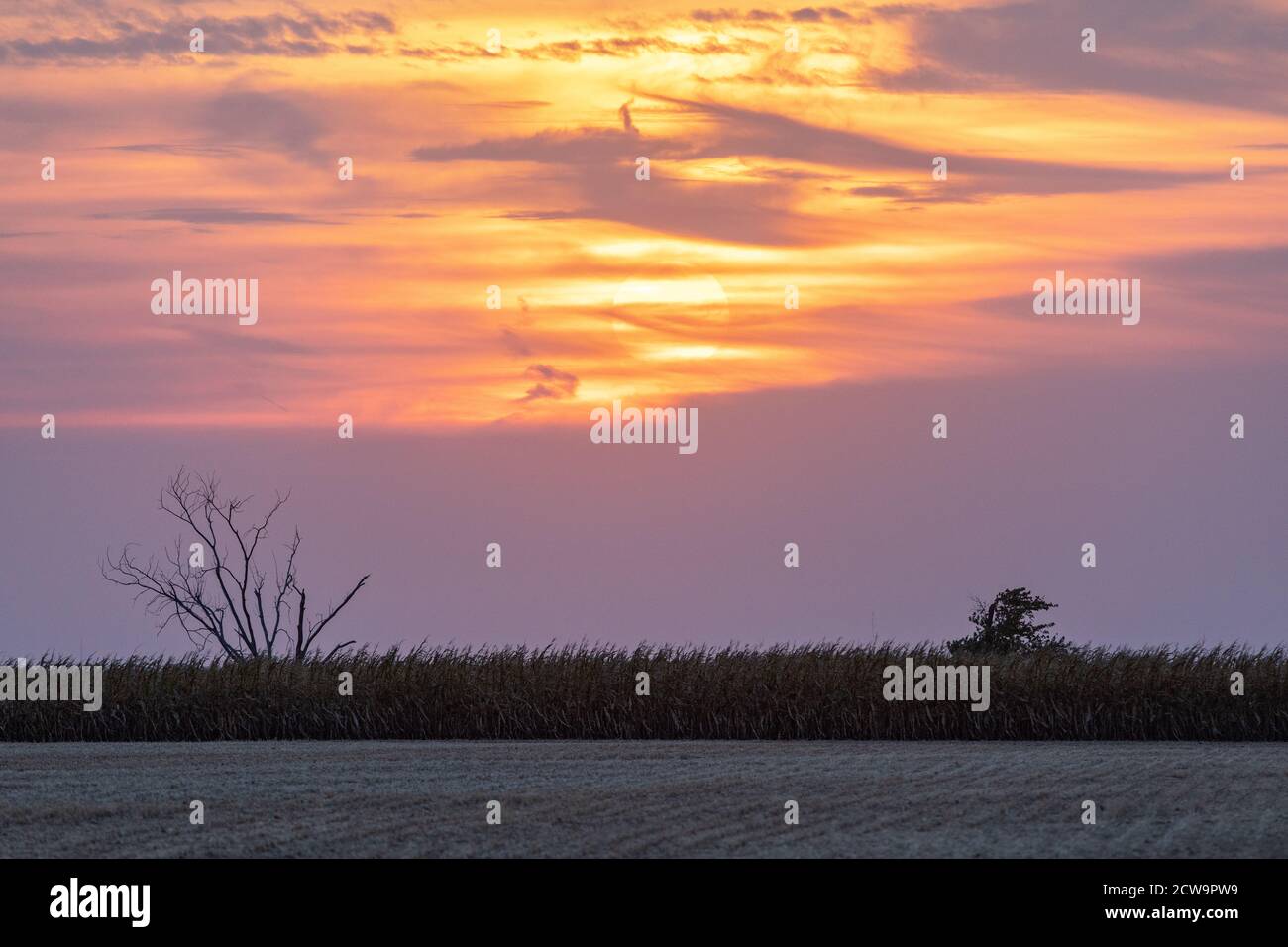 Herbstuntergang in Iowa, USA Stockfoto