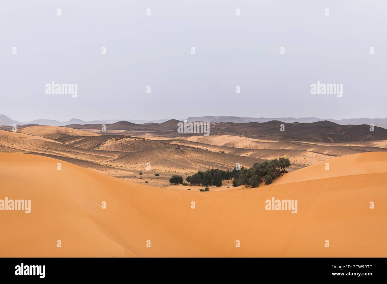 Sahara Wüstenlandschaft mit Sanddünen und Oase. Reisen nach Marokko, Merzouga. Natur leerer Hintergrund. Mitten im Nirgendwo. Stockfoto