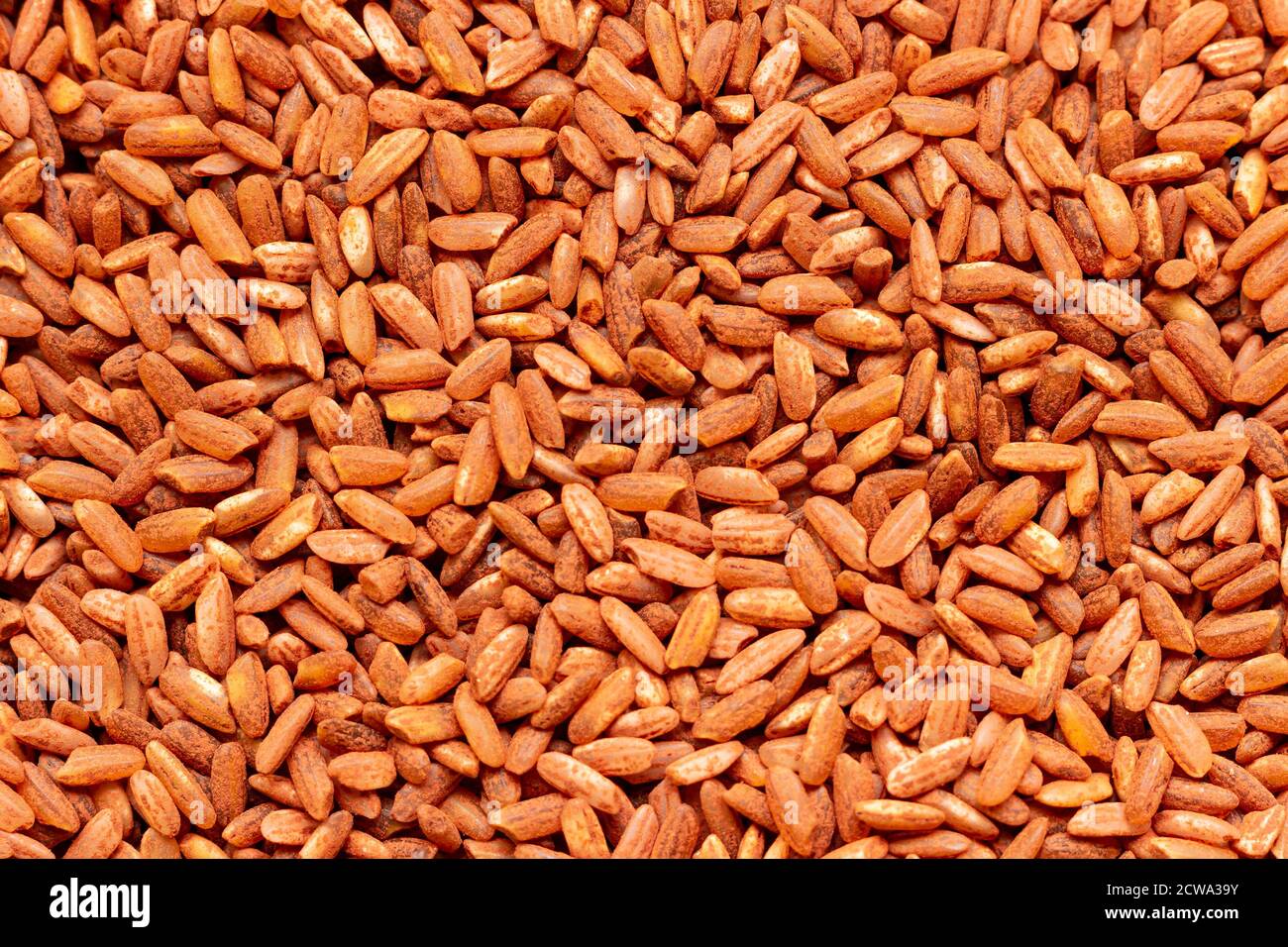 Usbekischer Reis devzira der rot-braunen Farbe, für die Herstellung von Pilaf bestimmt. Stockfoto