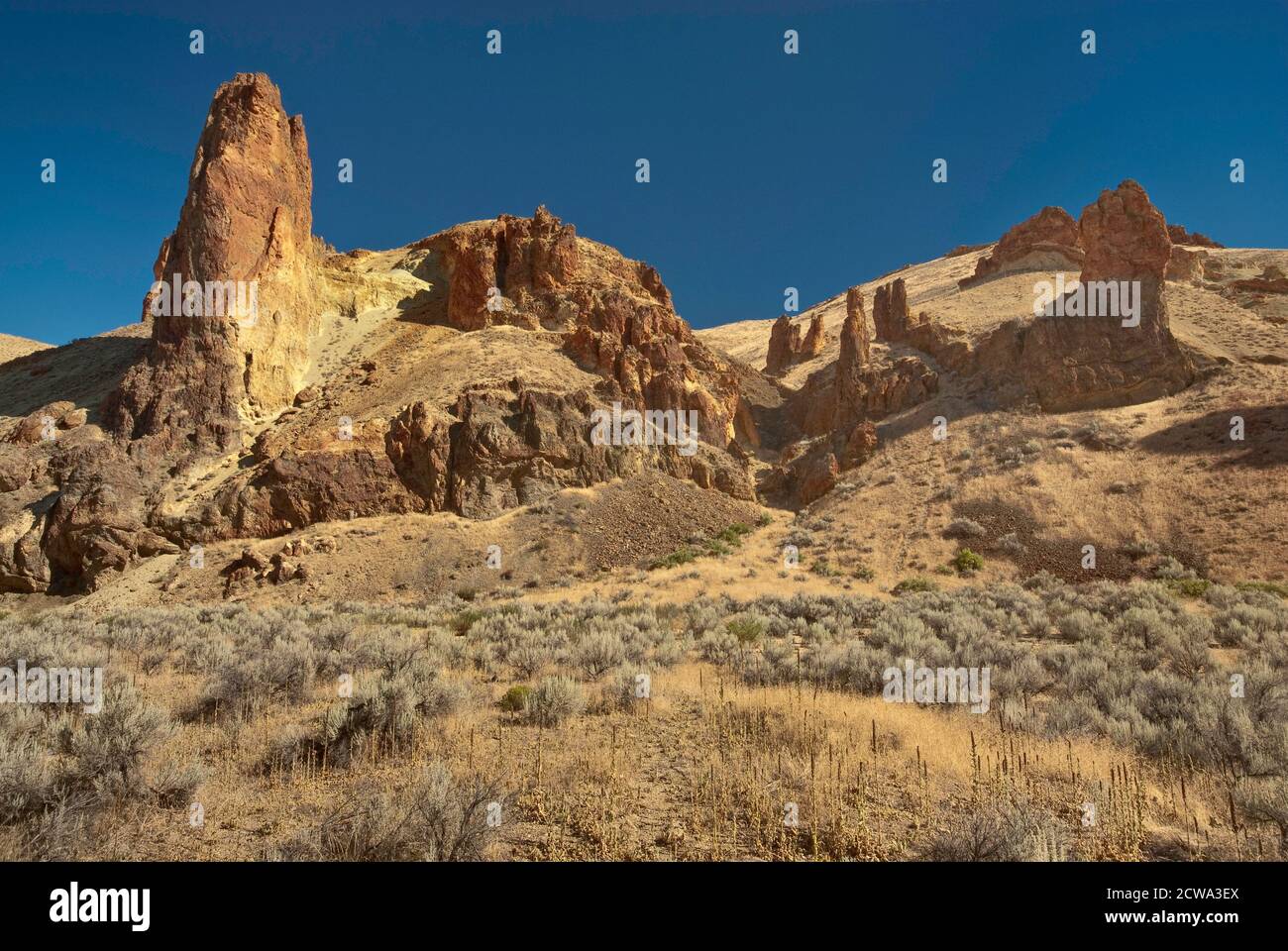 Vulkanischen Rhyolith Felsformationen in Leslie Gulch nahe Owyhee See, Mahagoni Berg Caldera, hohe Wüste Region, Oregon, USA Stockfoto