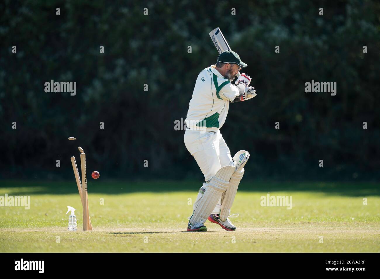 Cricket Batsman bowled heraus. Stockfoto