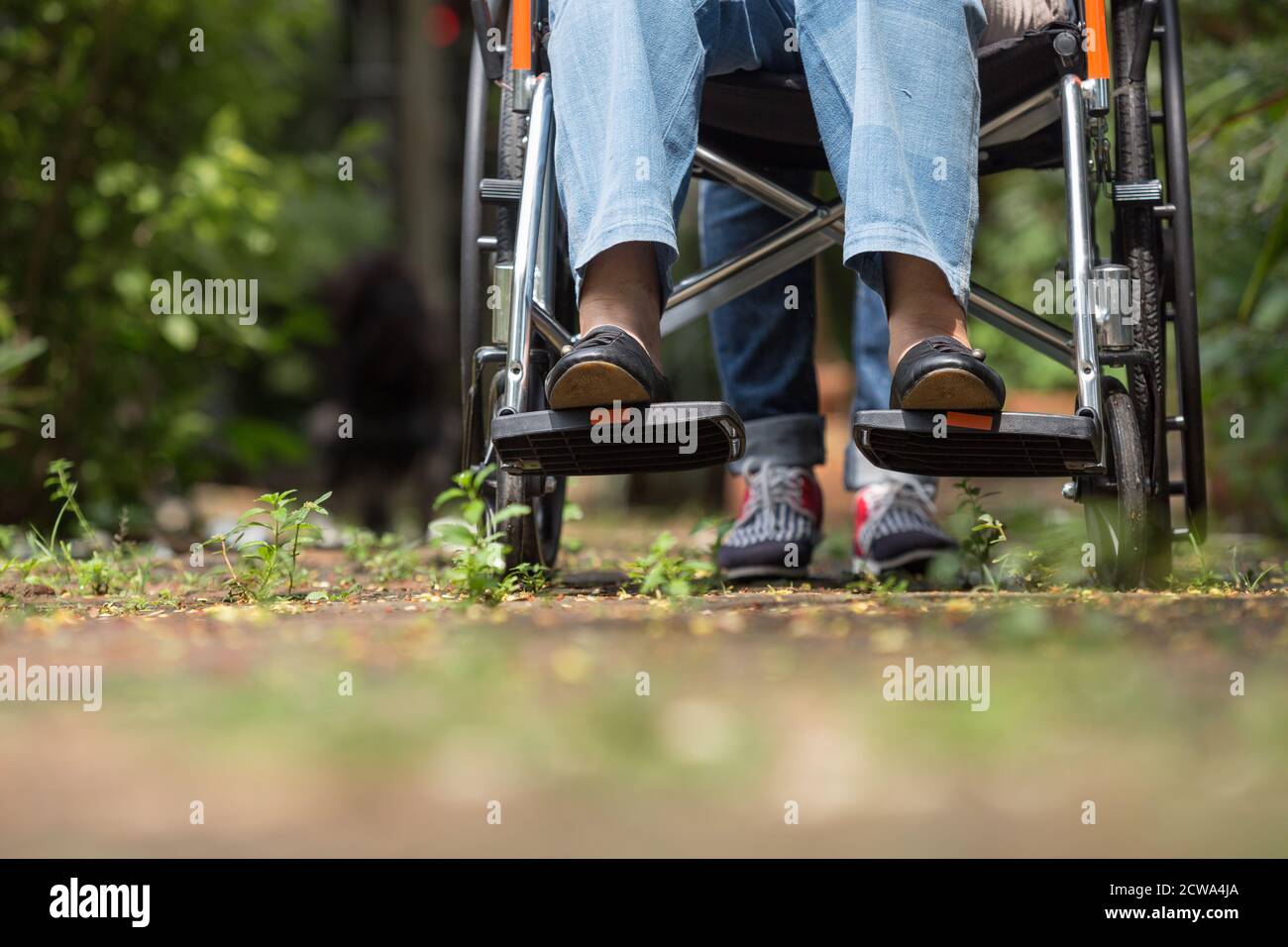 Low-Abschnitt Aufnahme von älteren Frau im Rollstuhl zu Fuß mit Auto Stockfoto