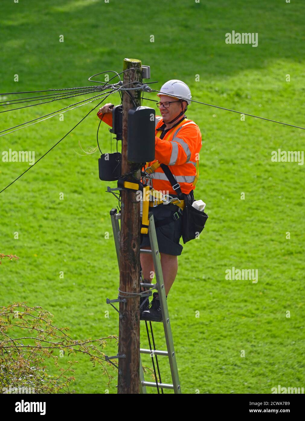 Openreach Ingenieur auf Leiter oben auf Holzmast, Arbeiten an Telekommunikationsausrüstung. Bowling Fell, Kendal, Cumbria, England, Vereinigtes Königreich, Europa. Stockfoto