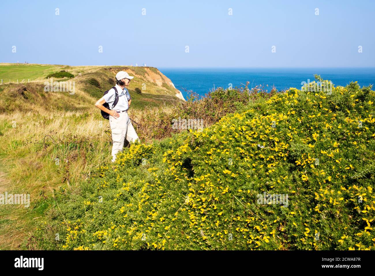 Ein Blick vom Küstenweg zwischen Flamborough Head und North Landing, North Yorkshire, Großbritannien Stockfoto