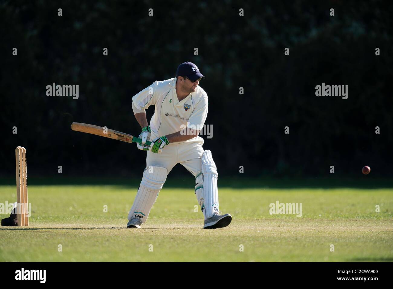 Cricket Batsman spielt erschossen. Stockfoto