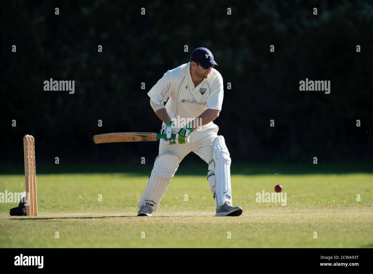 Cricket Batsman spielt erschossen. Stockfoto